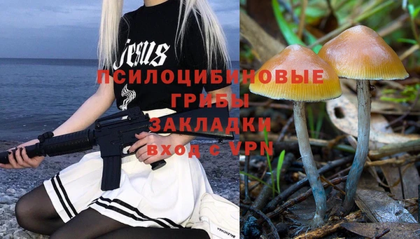 экстази Каменногорск
